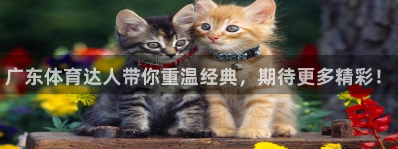 广东体育达人带你重温经典，期待更多精彩！